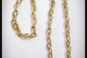 Chain No21 Chain No21